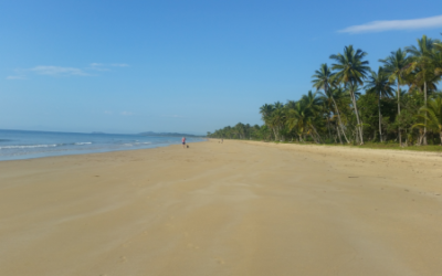 Mission Beach, une plage paradisiaque