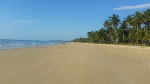 Mission Beach, une plage paradisiaque