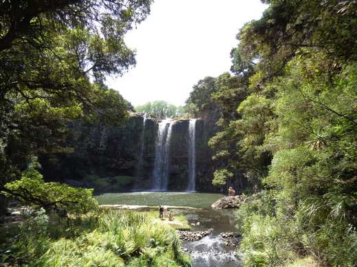 Whangarei Falls la plus belle cascade du Northland