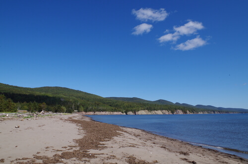 Secteur penouille dans le parc national forillon