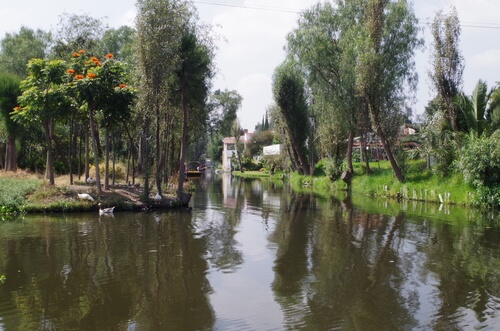 xochemilco bateau