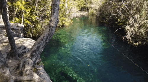 cenote escondido à Tulum