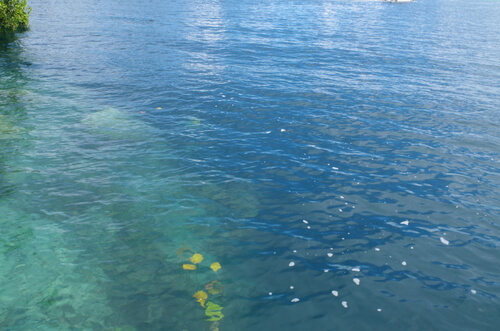 cenote negro bacalar