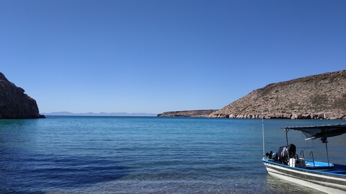 otaries à Espiritu Island