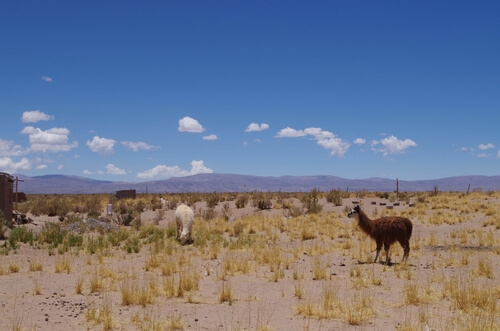 Village proche salinas grandes