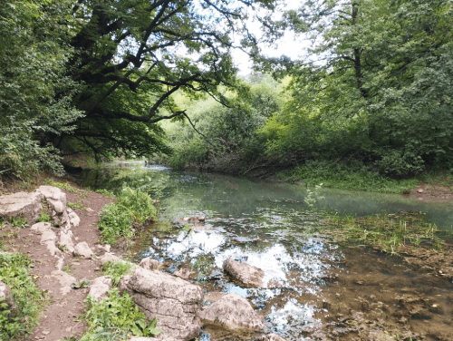 Rivière en Slovénie