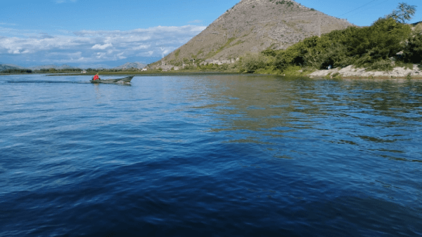 Tour en bateau sur le lac Skadar