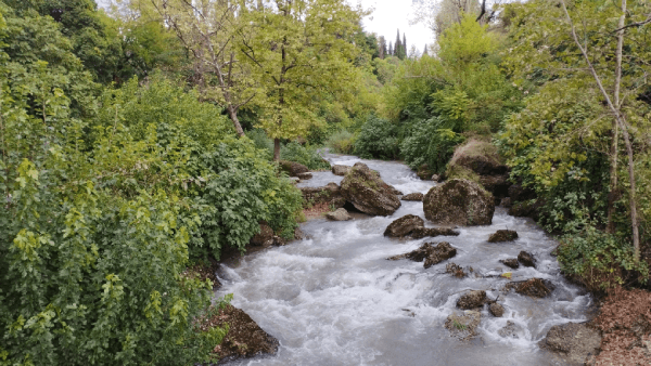 Rivière dans Podgorica